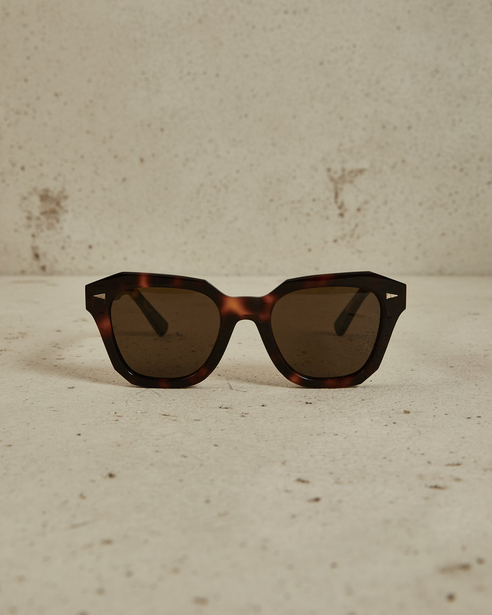 Pont des Arts Sun - Classic Turtle / Brown