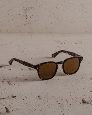 Ace II Sun Agate Tortoise / Semi-Flat Pure Coffee