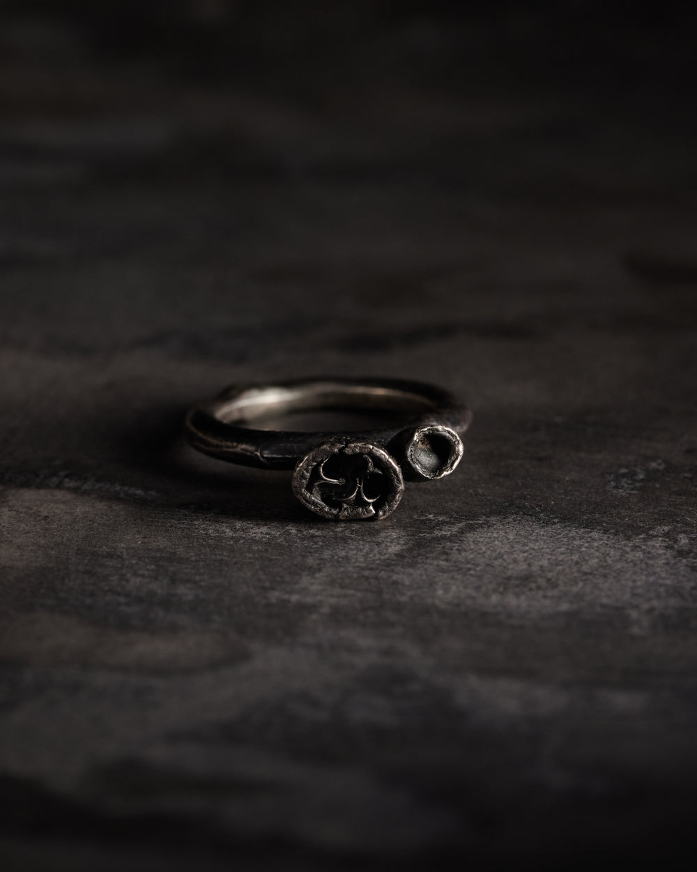 Aetenatus Seeds Ring Oxidised Sterling Silver