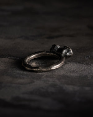 Aetenatus Seeds Ring Oxidised Sterling Silver