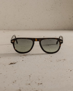 Carrousel Sun - Dark Turtle / Green Gradient