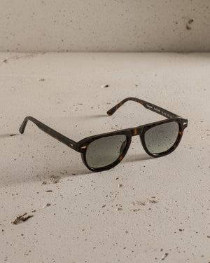 Carrousel Sun - Dark Turtle / Green Gradient