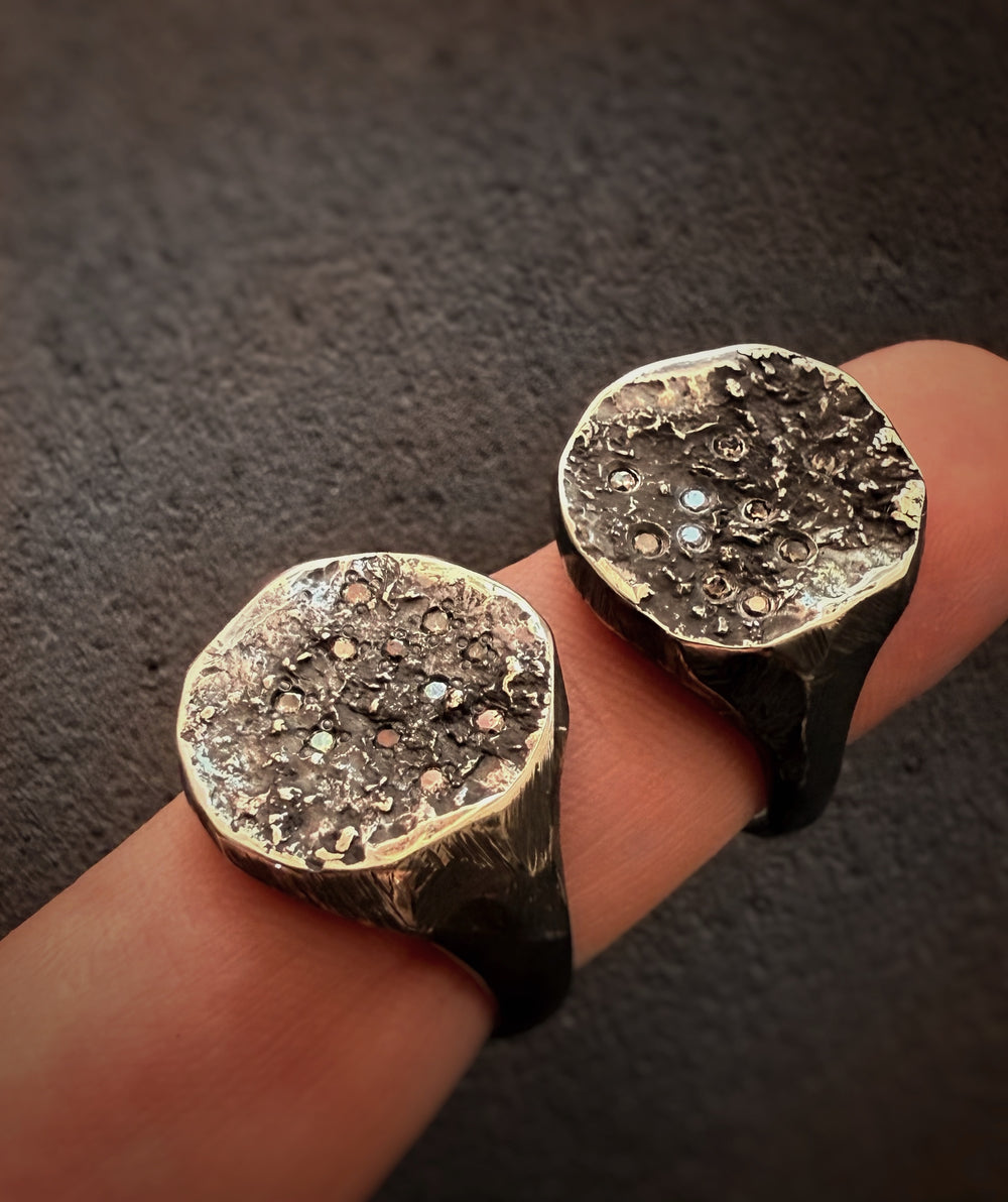 Salt & Pepper Diamond Primordial Shield Ring