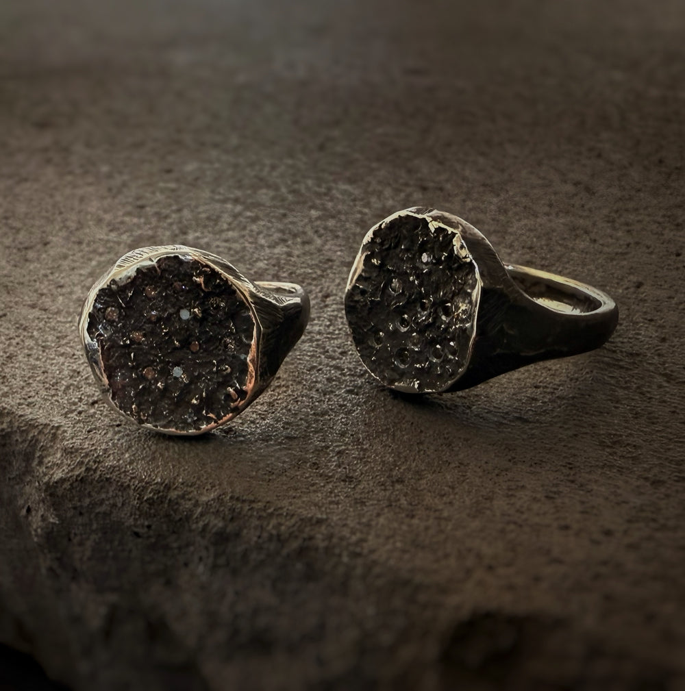 Salt & Pepper Diamond Primordial Shield Ring