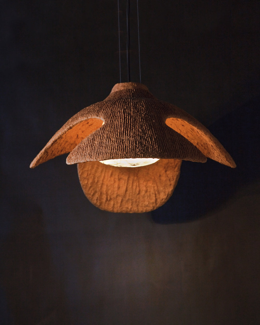 Pyalyostak Pendant Lamp