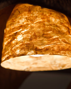 Pyalyostak Pendant Lamp