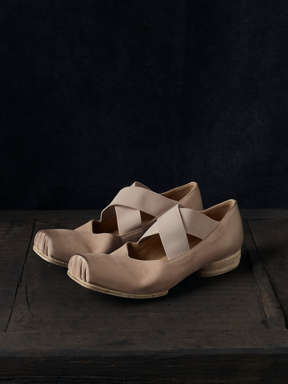 Ballet Shoes Rose