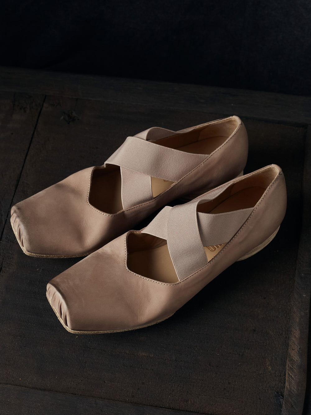 Ballet Shoes Rose