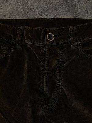 Tree Pants Velvet Brown