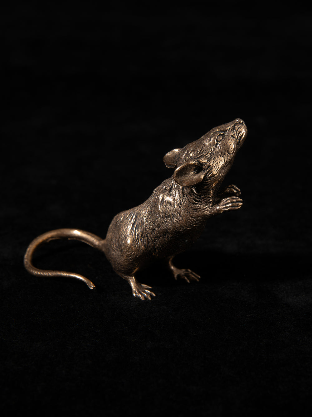 Brass Mouse