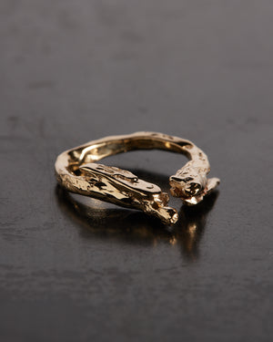 Guardian Ring