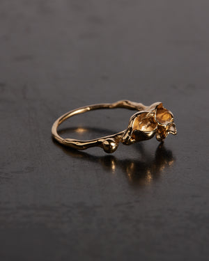 Petite Oriel II Ring